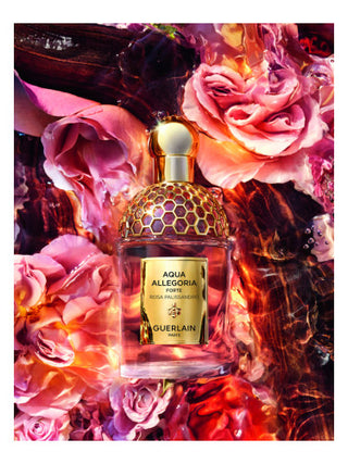 Best Unisex Aqua Allegoria Forte Rosa Palissandro Guerlain Perfume Image