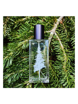 Greymist Pineward Perfumes for Women and Men - Luxury Fragrance Image