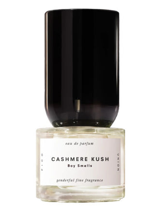 Cashmere Kush Boy Smells Perfume for Women and Men - Luxurious Unisex Fragrance | Buy Now