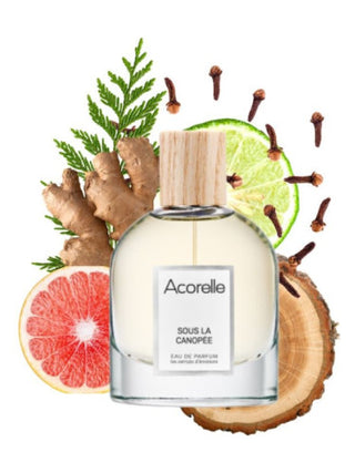 Unisex Sous La Canopée Acorelle Perfume - 375x500 Image