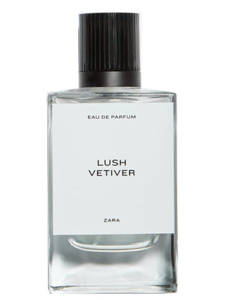 Mens Lush Vetiver Zara Perfume - Captivating Fragrance for Men | Buy Online