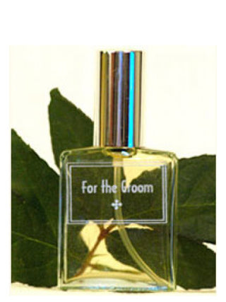 Mens For the Groom DSH Perfumes - Premium fragrance for men