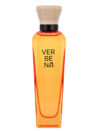 Verbena Mujer Adolfo Dominguez Womens Perfume | Refreshing Fragrance | Buy Online