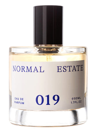 019 Normal Estate Unisex Perfume - Best Fragrance for Women and Men | Buy Online Now