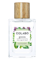 Green Clary Sage & Basil COLABO for women and men