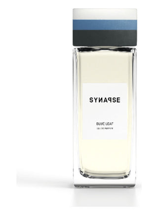 Blue Leaf Synapse Perfume for Women and Men - Best Unisex Fragrance - Buy Online Now