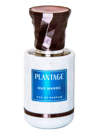 Oud Maroc Plantage Unisex Perfume - Exotic Scent for Men and Women | Buy Now!