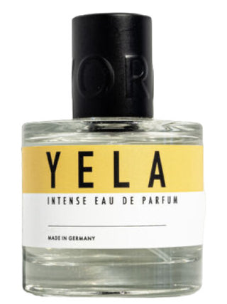 Yela Evora Unisex Perfume - Best Fragrance for Men and Women