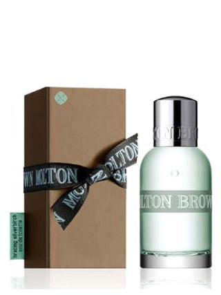 Bracing Silverbirch Molton Brown Mens Perfume - Refreshing Woody Fragrance | Buy Online