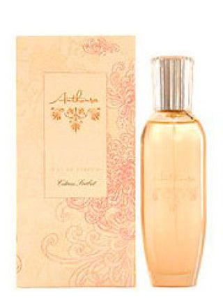 Womens Citrus Sorbet Anthousa Perfume - Refreshing and Elegant Fragrance