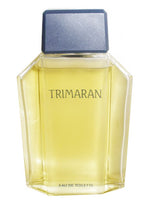 Trimaran 1986 Yves Rocher for men