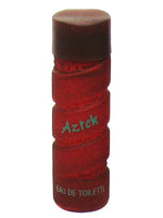 Aztek Yves Rocher for men