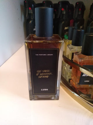 Unisex Perfume - The Smell of Weather Turning Lush - Best Fragrance for Women and Men