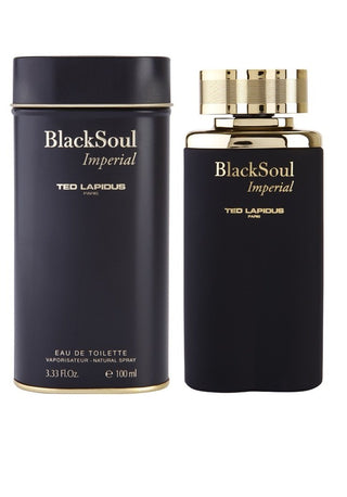 Black Soul Ted Lapidus for Men Perfume - Captivating fragrance for men, ideal for any occasion.