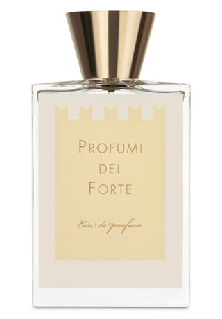 Versilia Vintage Ambra Mediterranea Perfume for Women and Men - Profumi del Forte - Luxurious Amber Fragrance