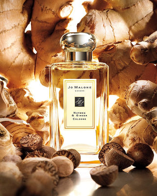 Jo Malone Nutmeg & Ginger Perfume for Women and Men - Fragrance Bottle with Elegant Design - Buy Online at Bloomingdales