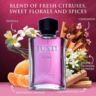 Cinnamon Celebration Just Scent Perfume for Women and Men - Luxury Fragrance in Elegant Bottle