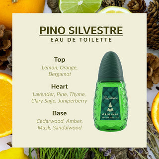 Original Pino Silvestre for Men - Pino Silvestre Perfume Image