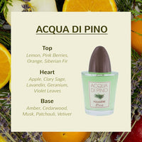 Acqua di Pino Fougere Pino Silvestre for men