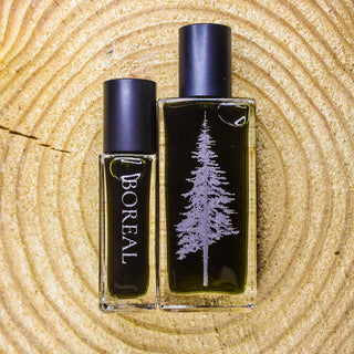 Unisex Boreal Pineward Perfumes - Fragrance for Women and Men | Woodsy Scent | Shop Now