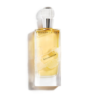 Kalimantan Chantecaille Womens Perfume - Exotic Fragrance Bottle on White Background