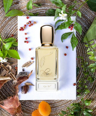 Que Tal Plume Impression Perfume for Women and Men - Exquisite Unisex Fragrance - Buy Now at PlumeImpression.com