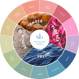 Soft Aromatic Families Perfume for Women and Men - Fragrance Wheel Update - Shop Now