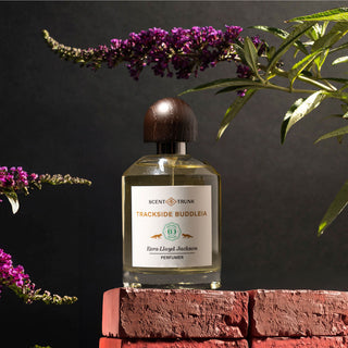 Trackside Buddleia Scent Trunk Perfume for Women and Men - Unisex Fragrance - ScentTrunk