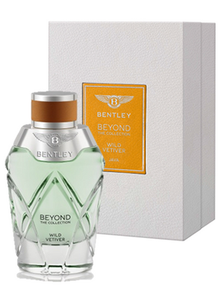 Wild Vetiver Bentley Perfume for Women and Men - Bentley Fragrances