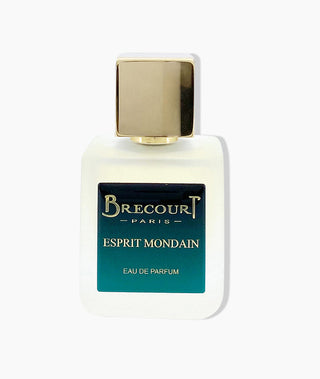 Esprit Mondain Brecourt Mens Perfume - Luxury Fragrance for Men | Jovoy Paris