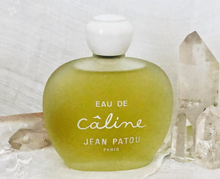 Jean Patou Câline Perfume for Women - Elegant and Timeless Fragrance | Buy Online