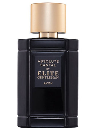 Absolute Santal by Elite Gentleman Avon for men - Exquisite mens perfume - Best fragrance for gentlemen - Buy now