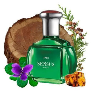 Sensus Voyage Avon Mens Perfume - Best Fragrance for Men | Buy Online Now