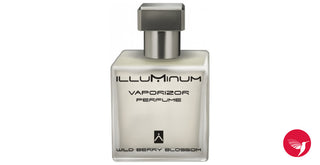 Wild Berry Blossom Illuminum Perfume for Women and Men - Luxurious Fragrance Bottle - Buy Online Now