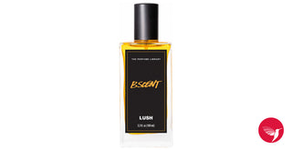 Unisex B Scent Lush Perfume for Women and Men - Captivating Fragrance | Shop Now