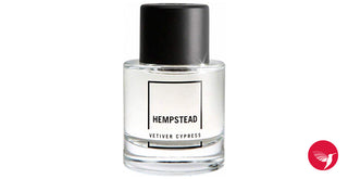 Mens Hempstead Abercrombie & Fitch Perfume - Captivating Scent for Men - Buy Online Now!