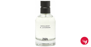 Zara Mens Bergamot & Lavender Perfume - Buy Online Now!