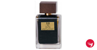 XII Panouge Mens Perfume - High-Quality Fragrance for Men | Buy Online Now