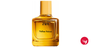 Yellow Velvet 2021 Zara womens perfume - luxurious fragrance bottle