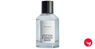 Massimo Dutti Cotton & Green Sage Perfume for Women and Men - Fragrance Bottle on White Background