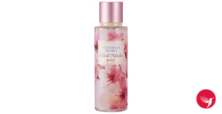 Velvet Petals Cashmere Victorias Secret Womens Perfume - Elegant floral fragrance in a luxurious bottle