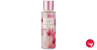 Velvet Petals Cashmere Victoria's Secret for women