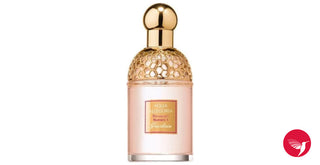 Womens Aqua Allegoria Bouquet Numero 1 Guerlain Perfume Image