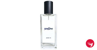 Unisex Atelier 14 Sentire Perfume for Women and Men - Buy Online Now