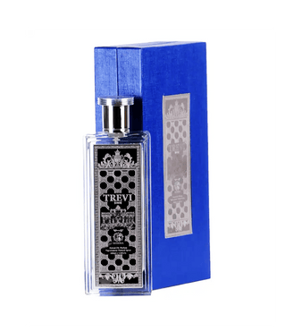 Premium unisex TREVI perfume by Athena Fragrances - captivating scent for men and women | Shop now at Athena Fragrances